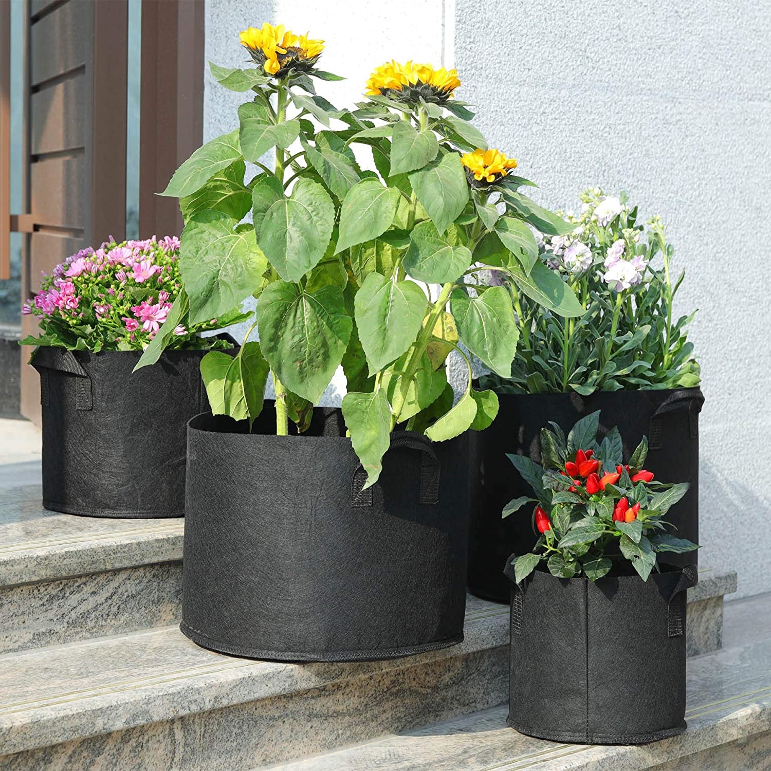 Fabric Plant Grow Bags with Handle 10 Gallon Pack of 5, Heavy Duty Nonwoven Smart Garden Pot Thickened Aeration Nursery Container Black for Outdoor Flower and Vegetables